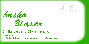 aniko blaser business card